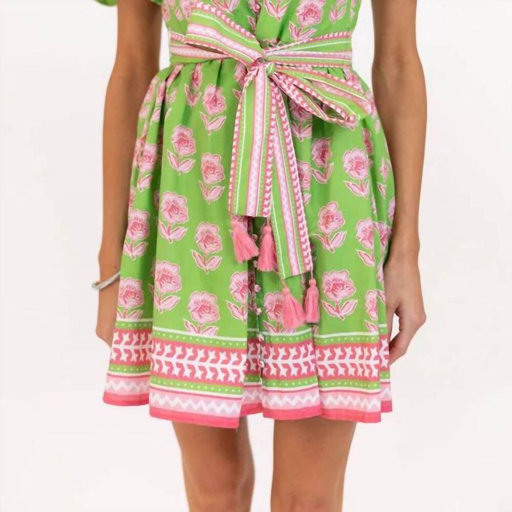 NEW TCEC blythe button down mini dress in green and pink